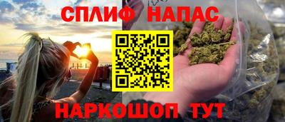 гидра Нальчик