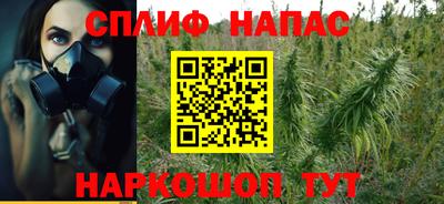 гидра Нальчик