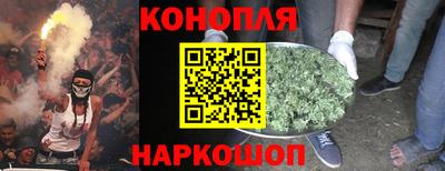 гидра Нальчик