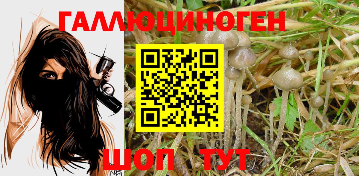 Бугульма  Псилоцибиновые грибы мицелий  Вход с VPN 